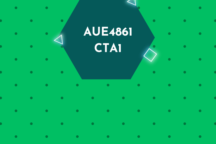 AUE4861